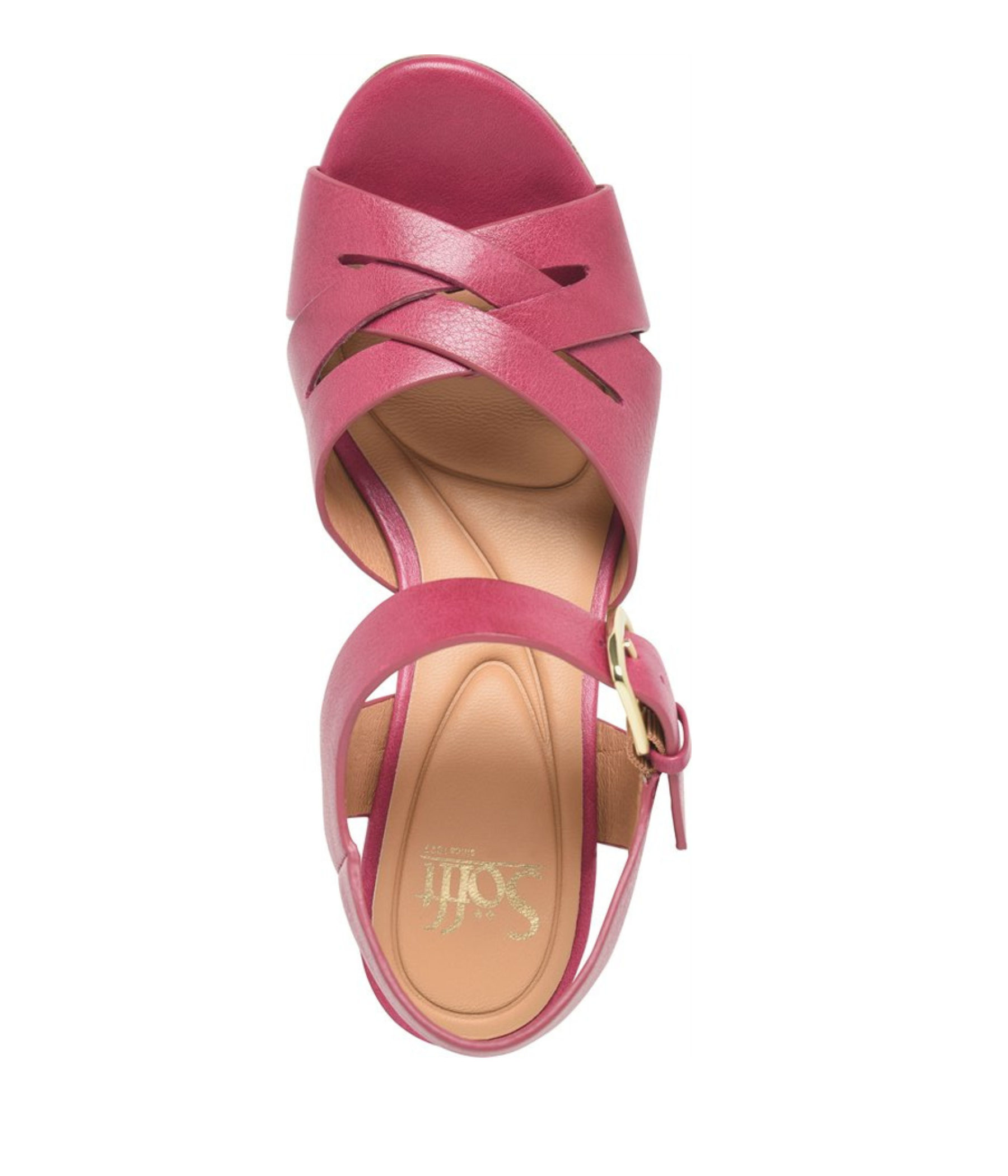 Lacie Italian Leather Heeled Platform Sandal in Pink Red Raspberry by Sofft Shoes